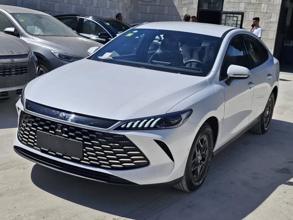 بي واي دي كين بلس 2025 - صورة 1