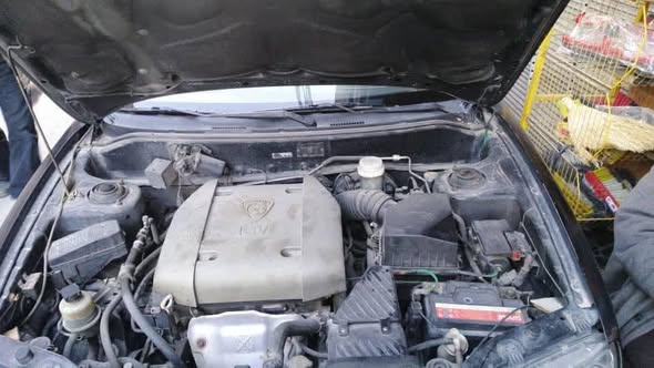 بروتن واجها 2007 - صورة 3