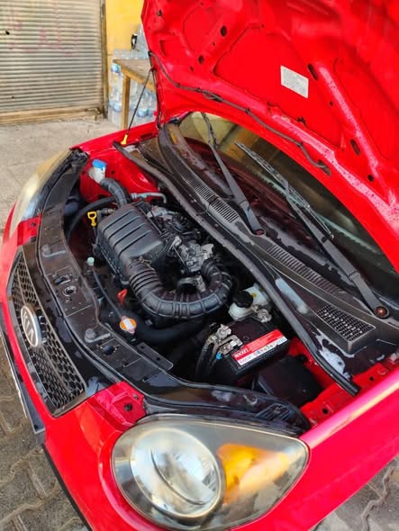 كيا مورننغ 2011 - صورة 4