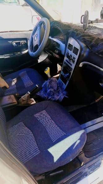 جيلي كرت 2006 - صورة 4