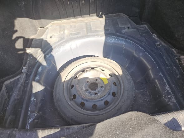 سايبا شاهين 2008 - صورة 2