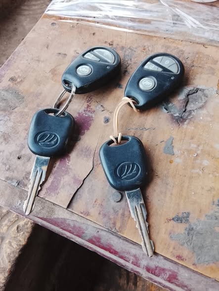 ليفان 320 2009 - صورة 5