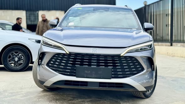 بي واي دي L 2025 - صورة 4