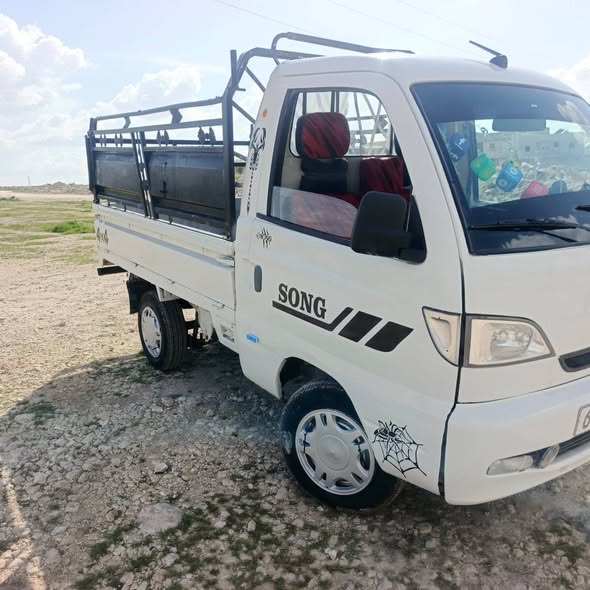 سونك سونك 2008 - صورة 2