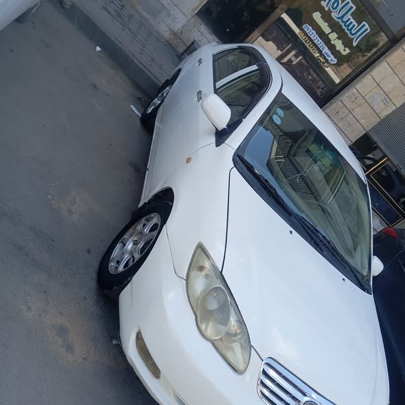 بي واي دي اف 3 2011 - صورة 2