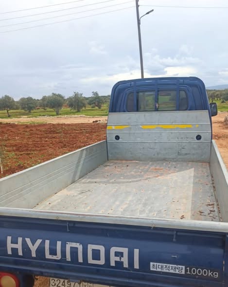 هيونداي بورتر 2008 - صورة 3