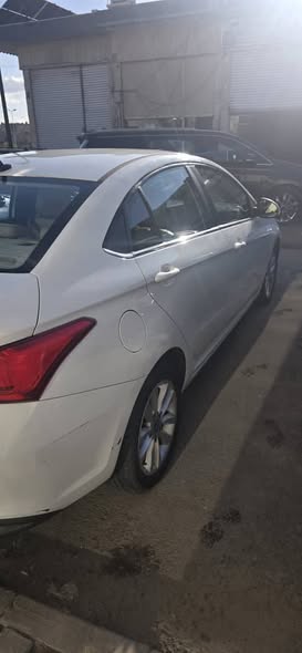 شيري أريزو 5 2018 - صورة 5