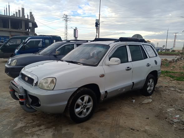 هيونداي سنتافي 2003 - صورة 3