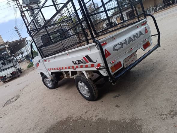 شانا شانا 2005 - صورة 2