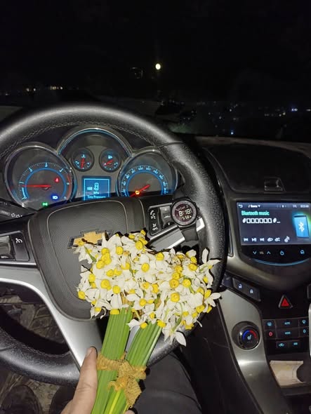 شفر كروز 2013 - صورة 3