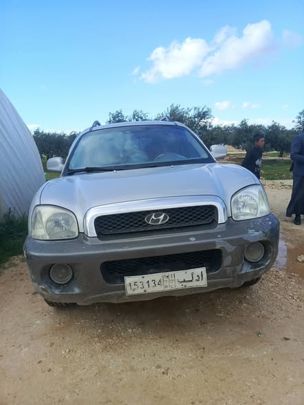 هيونداي سنتافي 2004 - صورة 2