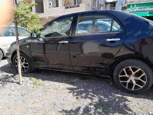 بي واي دي اف3 2010 - صورة 3