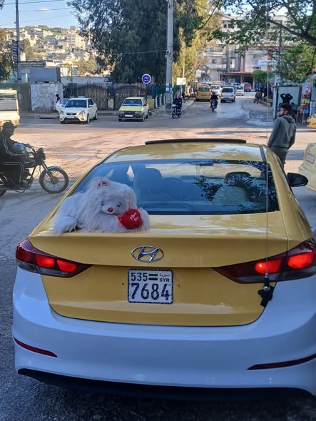 هوندا إلنترا 2018 - صورة 2