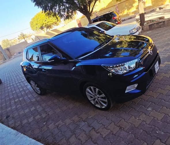 سانغ يونغ تيفولي 2017