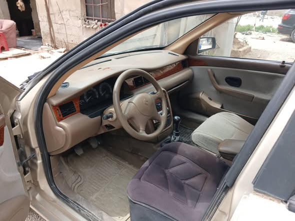 شام شام 2009 - صورة 4