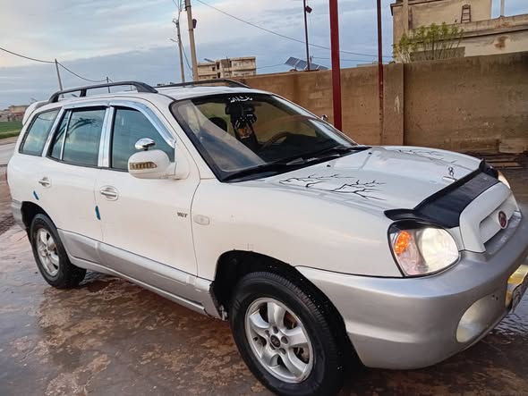 هيونداي سنتافي 2004 - صورة 3