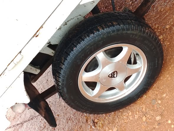 هافي مني 2009 - صورة 5