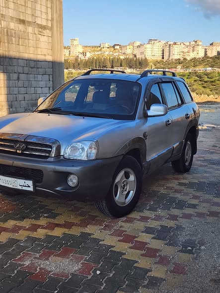 هيونداي سانتا في 2004 - صورة 3