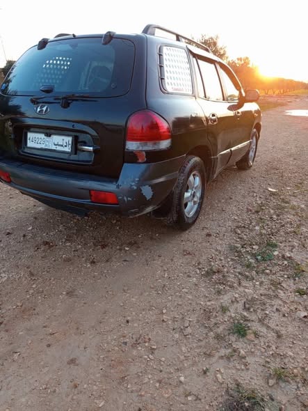 هيونداي سانتا في 2004 - صورة 1