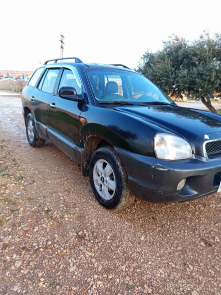 هيونداي سانتا في 2004 - صورة 2