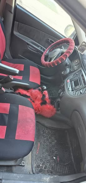 كيا ريو 2010 - صورة 2