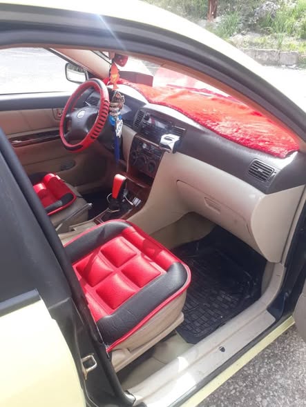 بي واي دي اف 3 2010 - صورة 2