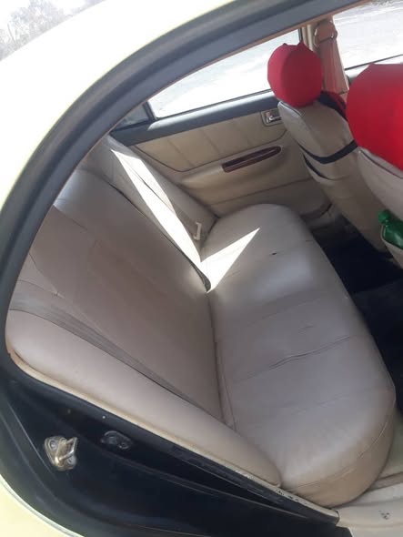 بي واي دي اف 3 2010 - صورة 4