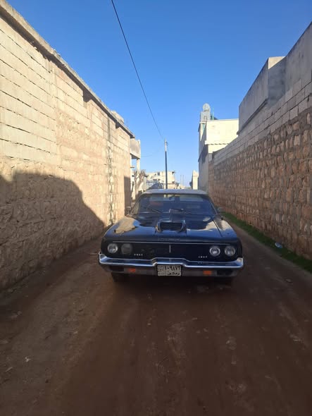 دوج أخرى 1975 - صورة 2