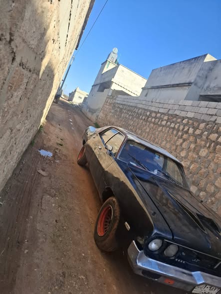 دوج أخرى 1975 - صورة 4