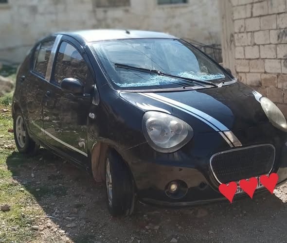 جيلي باندا 2010 - صورة 2