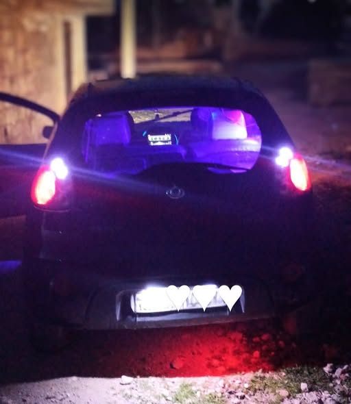 جيلي باندا 2010 - صورة 5