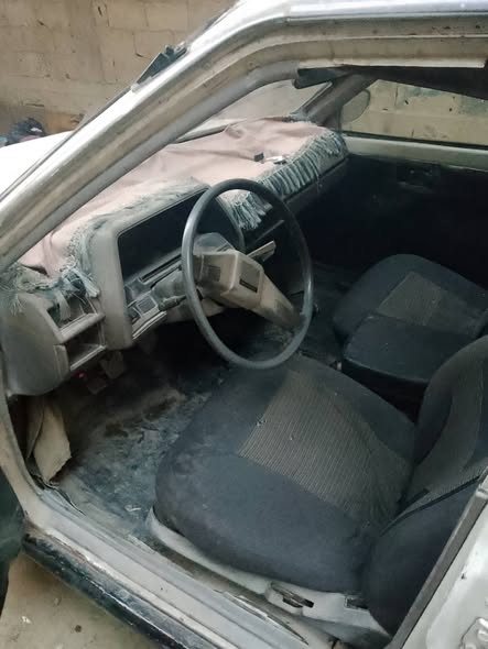 نيسان صني 1983 - صورة 3