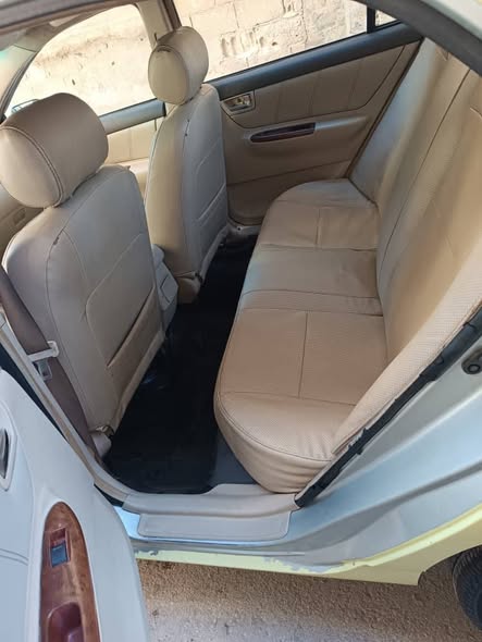 بي واي دي اف 3 2010 - صورة 3