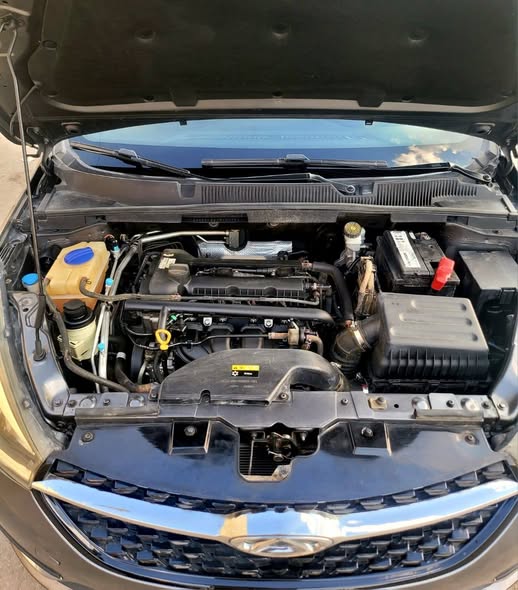 شيري اريزو 5 2021 - صورة 3