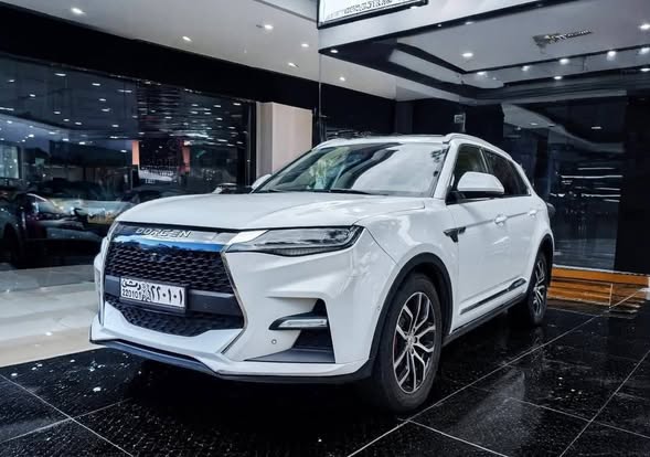 دورسن دومي 2020 - صورة 3