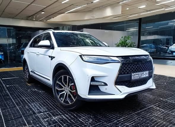 دورسن دومي 2020 - صورة 4