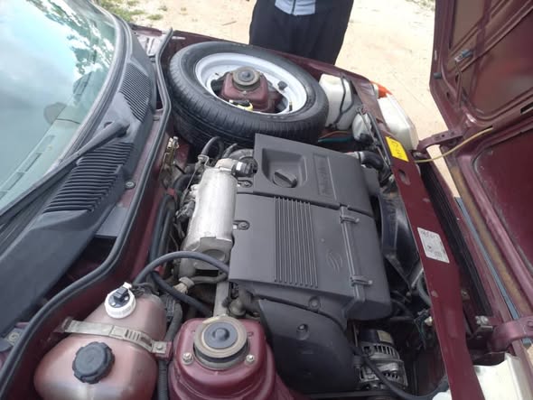 زاز تاف ريا 2009 - صورة 5