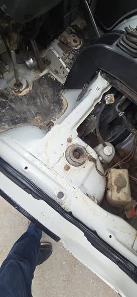 هافي سونك 2010 - صورة 3