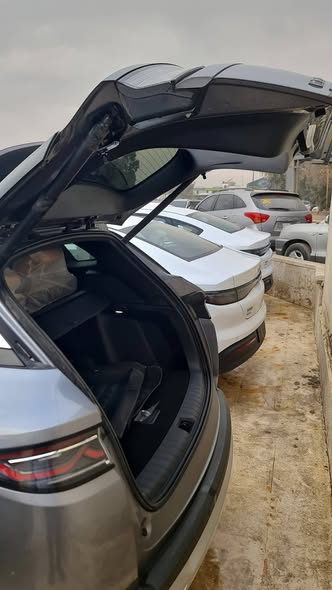 بي واي دي سونغ إل 2025 - صورة 4