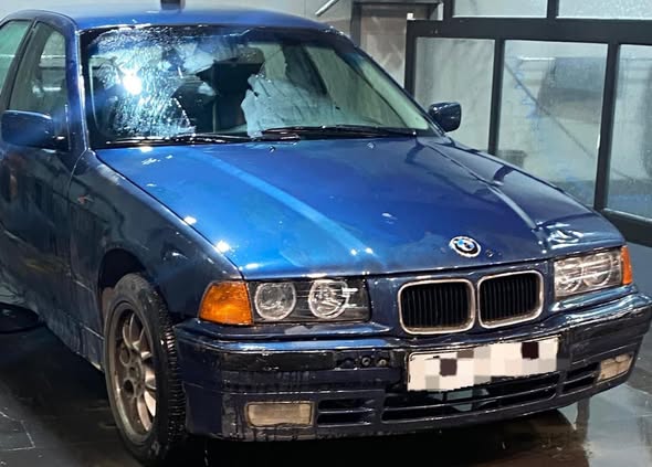 بي إم دبليو 318 1992 - صورة 3