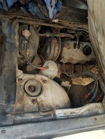 سونك سونك 2007 - صورة 3