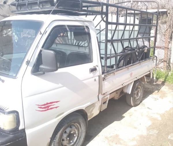 آسيا تاونر 1995