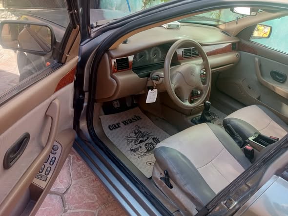 شام شام 2009 - صورة 1