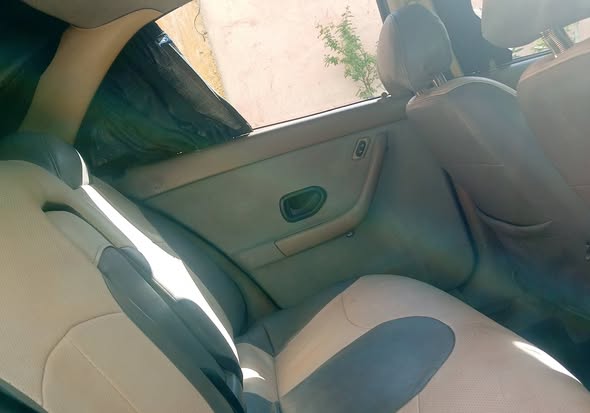 شام شام 2009 - صورة 3