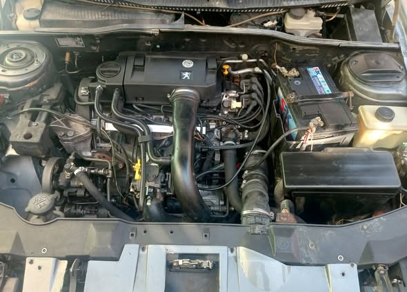 شام شام 2009 - صورة 4