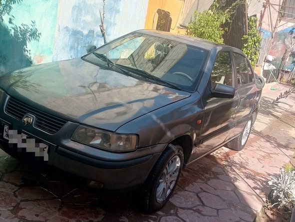 شام شام 2009 - صورة 5