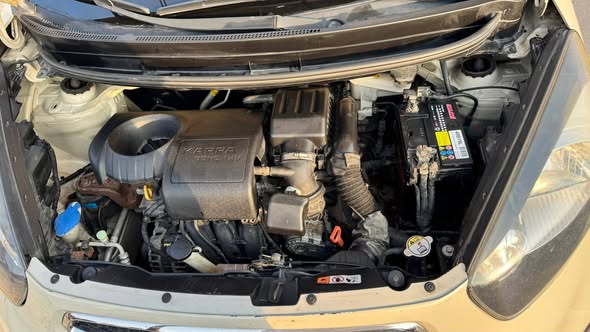 كيا بيكانتو 2012 - صورة 2