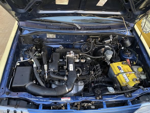 سايبا سابا 2019 - صورة 5