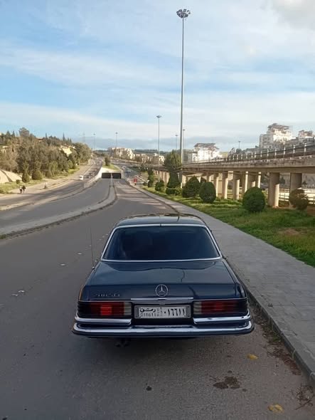 مرسيدس 280 1975 - صورة 2