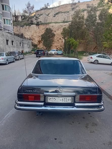 مرسيدس 280 1975 - صورة 4